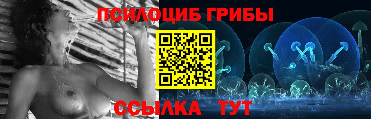 Галлюциногенные грибы Psilocybine cubensis Саратов